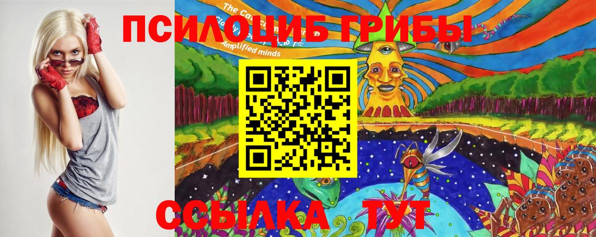 Фурманов  Галлюциногенные грибы Cubensis  Галлюциногенные грибы Psilocybine cubensis  Вход с VPN 