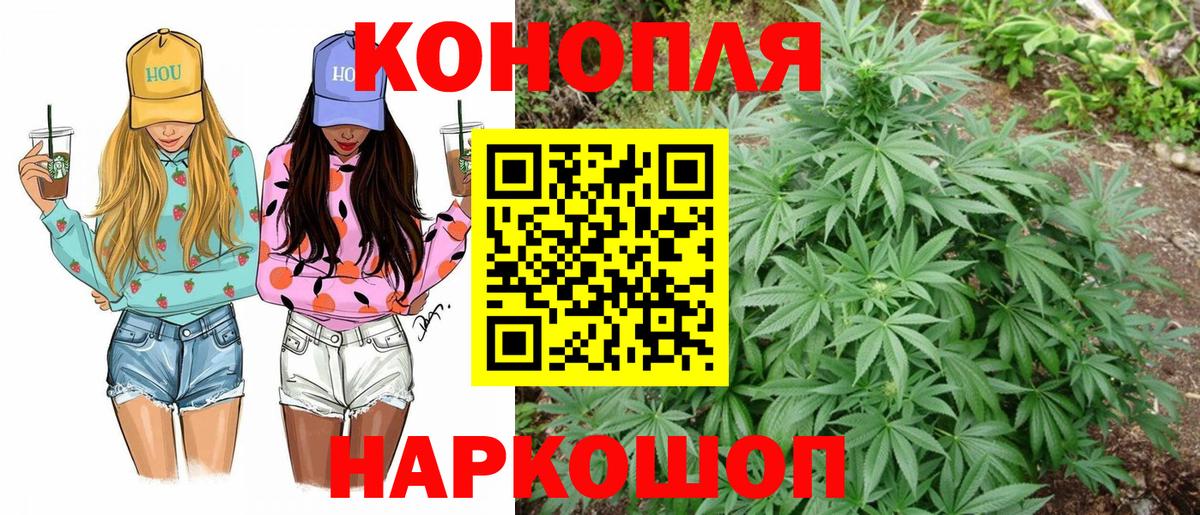 Бошки Шишки ГИДРОПОН  Марихуана THC 21%  Конопля OG Kush  Фурманов  Вход с VPN  Бошки Шишки тримм 
